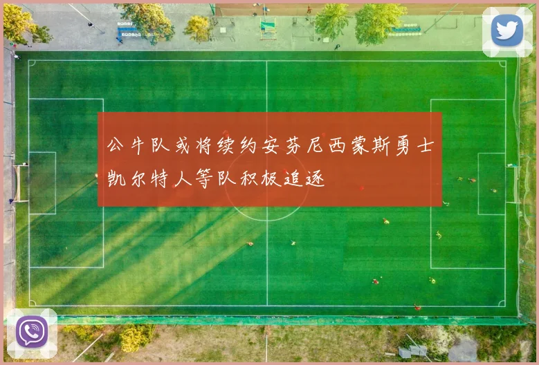 公牛队或将续约安芬尼西蒙斯勇士凯尔特人等队积极追逐
